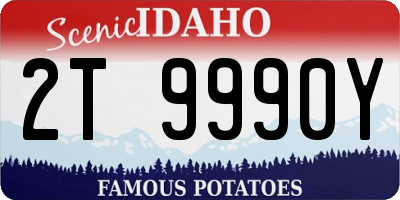 ID license plate 2T9990Y