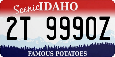 ID license plate 2T9990Z