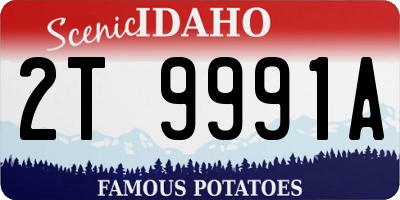 ID license plate 2T9991A