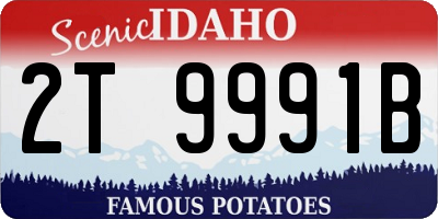 ID license plate 2T9991B