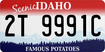 ID license plate 2T9991C