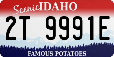 ID license plate 2T9991E