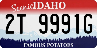 ID license plate 2T9991G