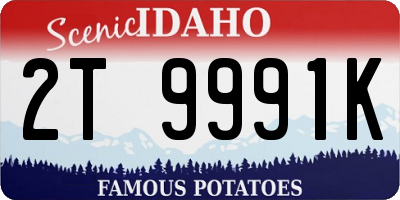 ID license plate 2T9991K