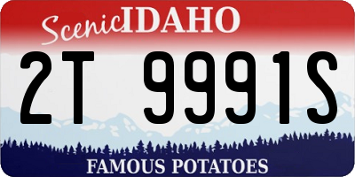 ID license plate 2T9991S