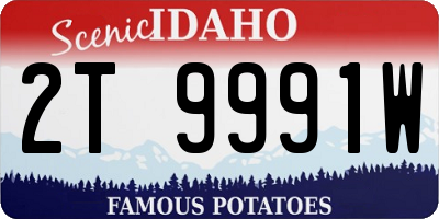 ID license plate 2T9991W