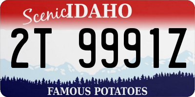 ID license plate 2T9991Z