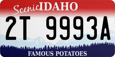 ID license plate 2T9993A