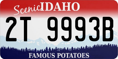 ID license plate 2T9993B