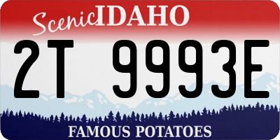 ID license plate 2T9993E