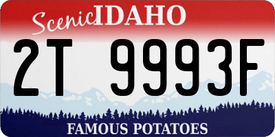 ID license plate 2T9993F