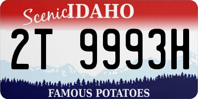 ID license plate 2T9993H