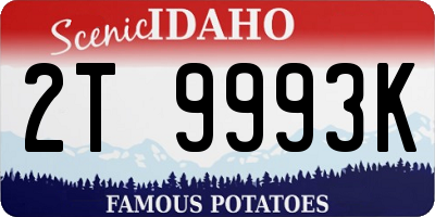 ID license plate 2T9993K