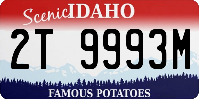 ID license plate 2T9993M