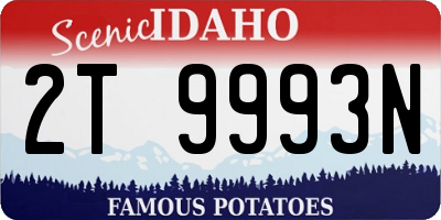 ID license plate 2T9993N