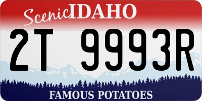 ID license plate 2T9993R