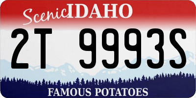 ID license plate 2T9993S