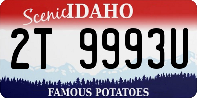 ID license plate 2T9993U