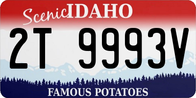 ID license plate 2T9993V