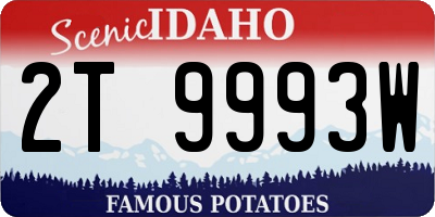 ID license plate 2T9993W