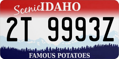 ID license plate 2T9993Z