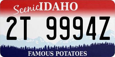 ID license plate 2T9994Z