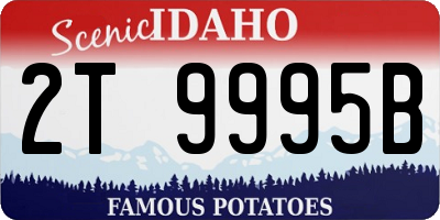 ID license plate 2T9995B