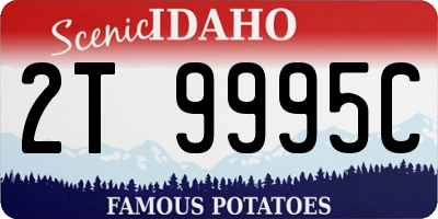 ID license plate 2T9995C