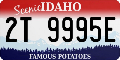 ID license plate 2T9995E