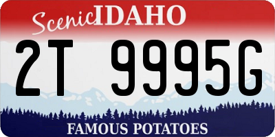 ID license plate 2T9995G