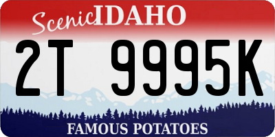 ID license plate 2T9995K