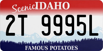 ID license plate 2T9995L