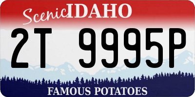 ID license plate 2T9995P