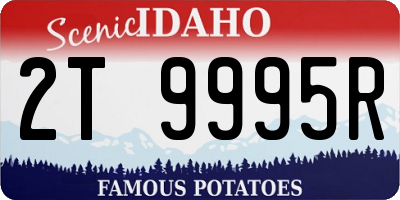 ID license plate 2T9995R