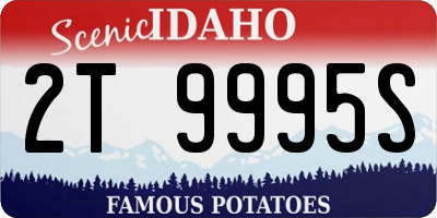 ID license plate 2T9995S