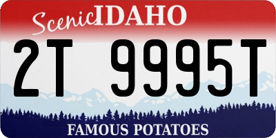 ID license plate 2T9995T