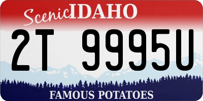 ID license plate 2T9995U