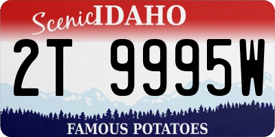 ID license plate 2T9995W