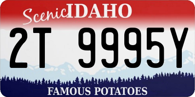 ID license plate 2T9995Y