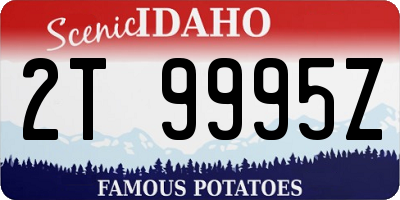 ID license plate 2T9995Z