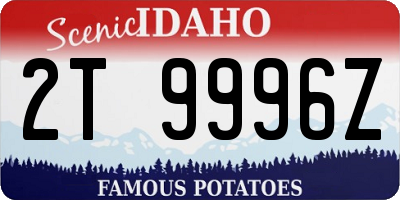 ID license plate 2T9996Z