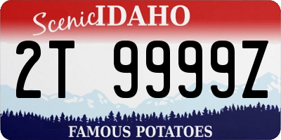 ID license plate 2T9999Z