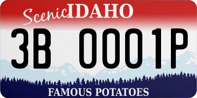 ID license plate 3B0001P