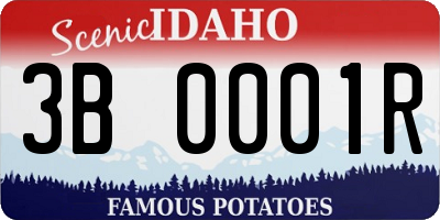 ID license plate 3B0001R