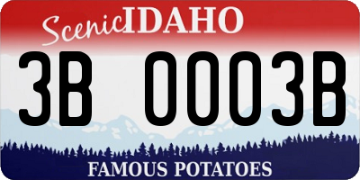 ID license plate 3B0003B
