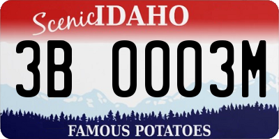 ID license plate 3B0003M
