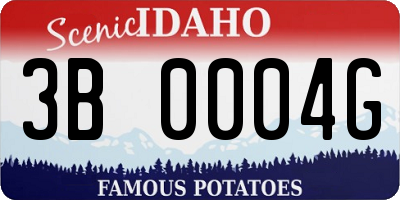 ID license plate 3B0004G