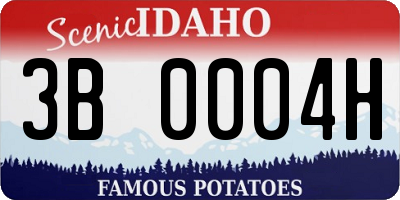 ID license plate 3B0004H
