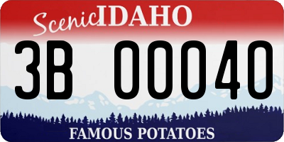 ID license plate 3B0004O