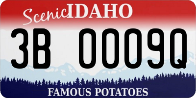 ID license plate 3B0009Q